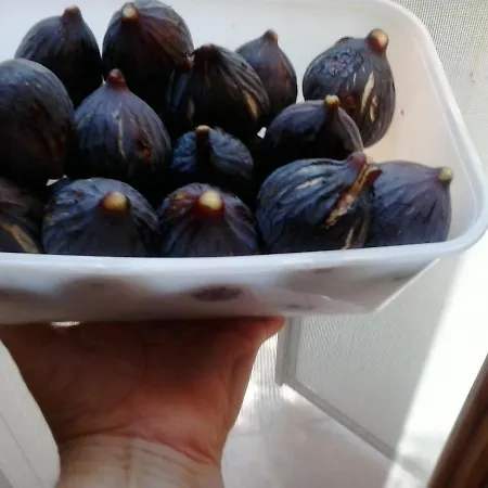 Le Dimore Di Marzo Aradeo